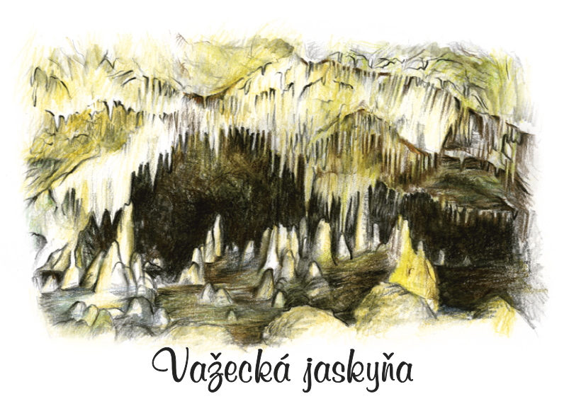 SK-479 / Važecká jaskyňa, F